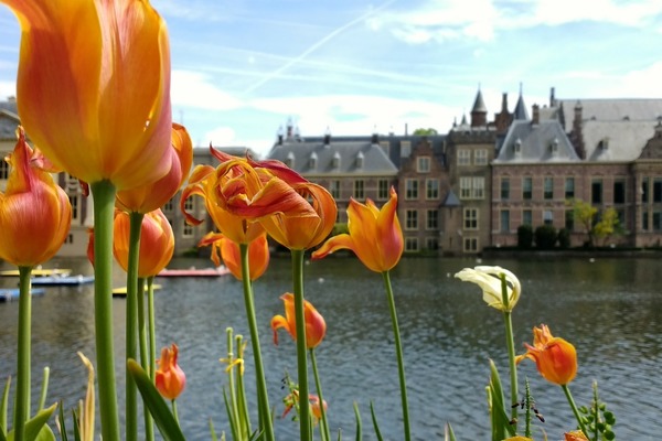 Eerste analyse RECRON Prinsjesdag 2019