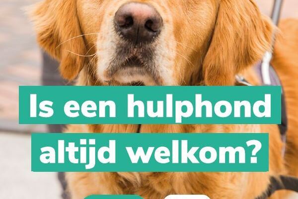 Een hulphond is welkom