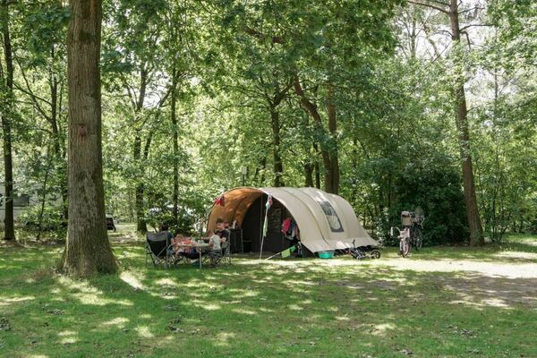 ADAC Camping Awards voor Camping De Wildhoeve en Vakantiepark De Beerze Bulten 