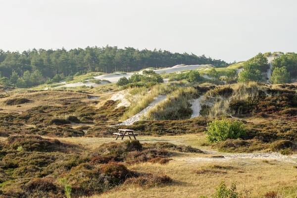 HISWA-RECRON neemt deel aan landelijke Agenda Natuurinclusief