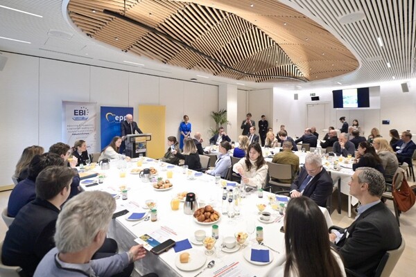 Watertoerisme krijgt plek in nieuwe EU-strategie: stap vooruit voor watersportsector